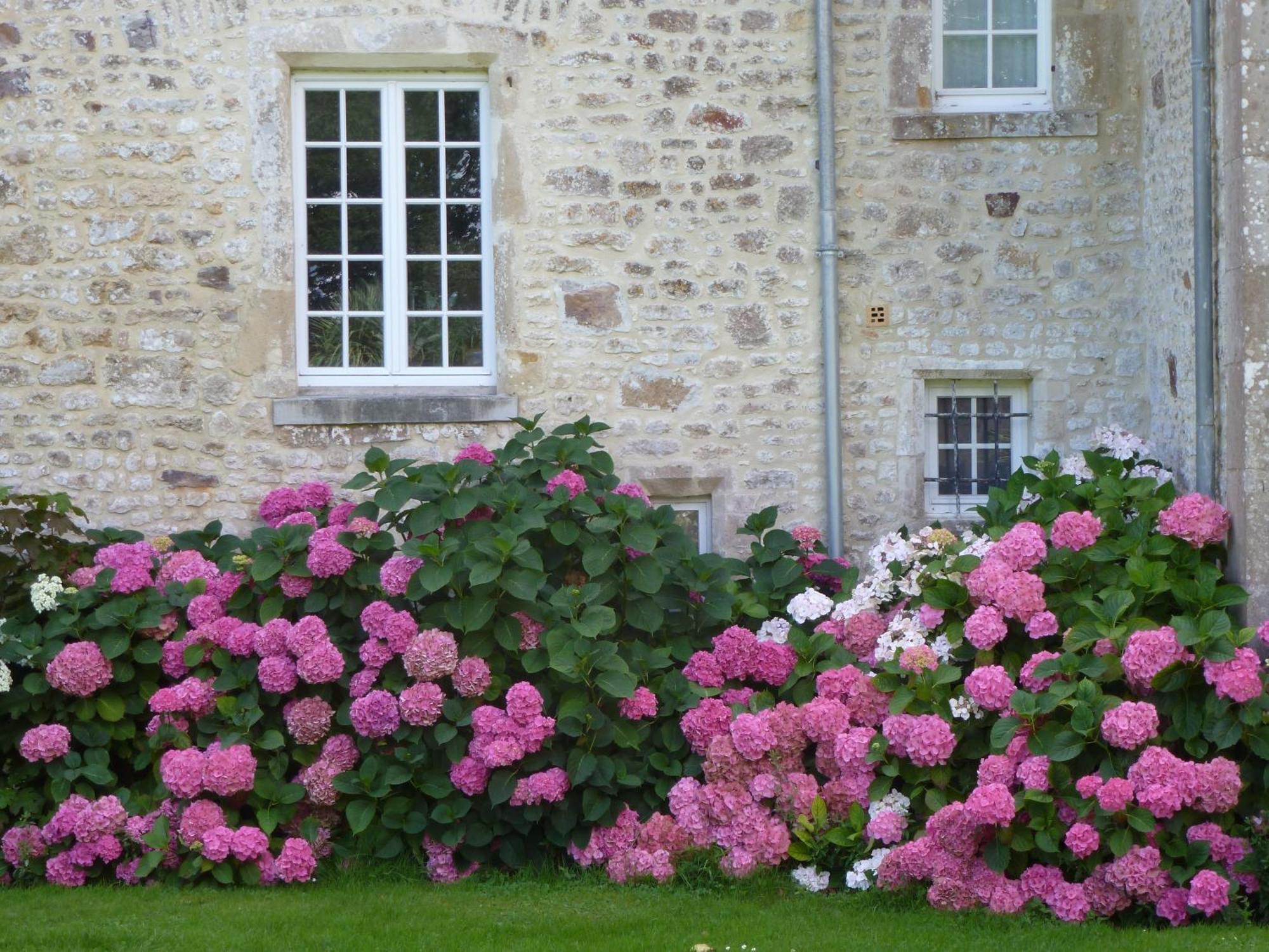 Manoir De Savigny Bed & Breakfast Valognes Exterior photo